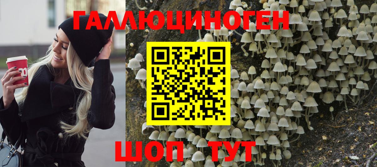 сколько стоит  Галлюциногенные грибы ЛСД  Вход с VPN  Полевской 